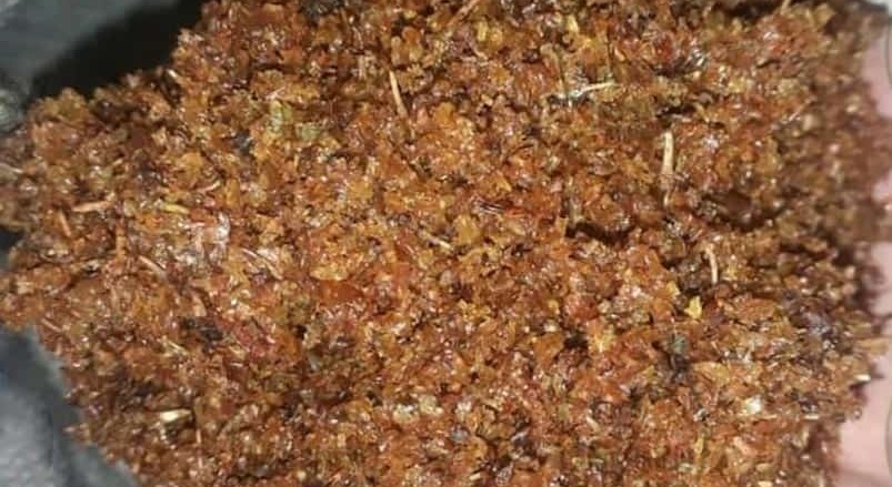 1785011758_4151.jpg